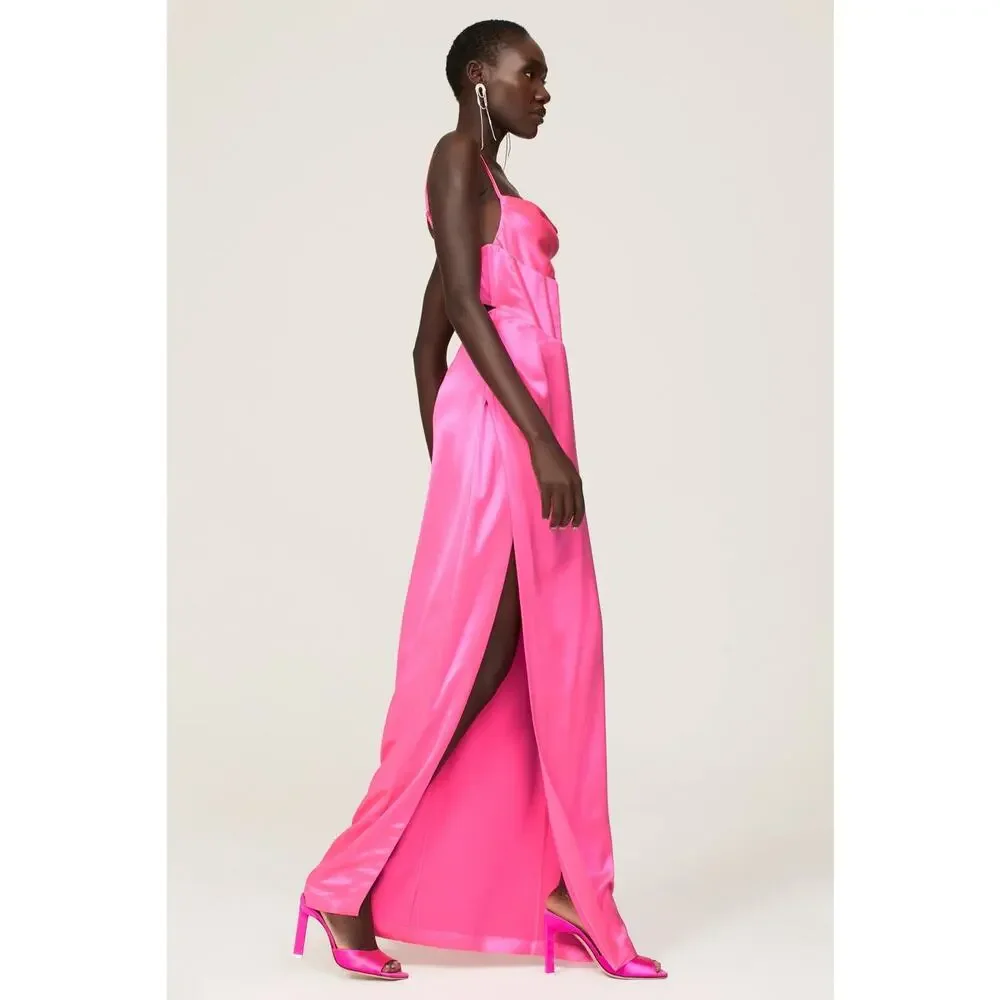 Retrofete rosa dress